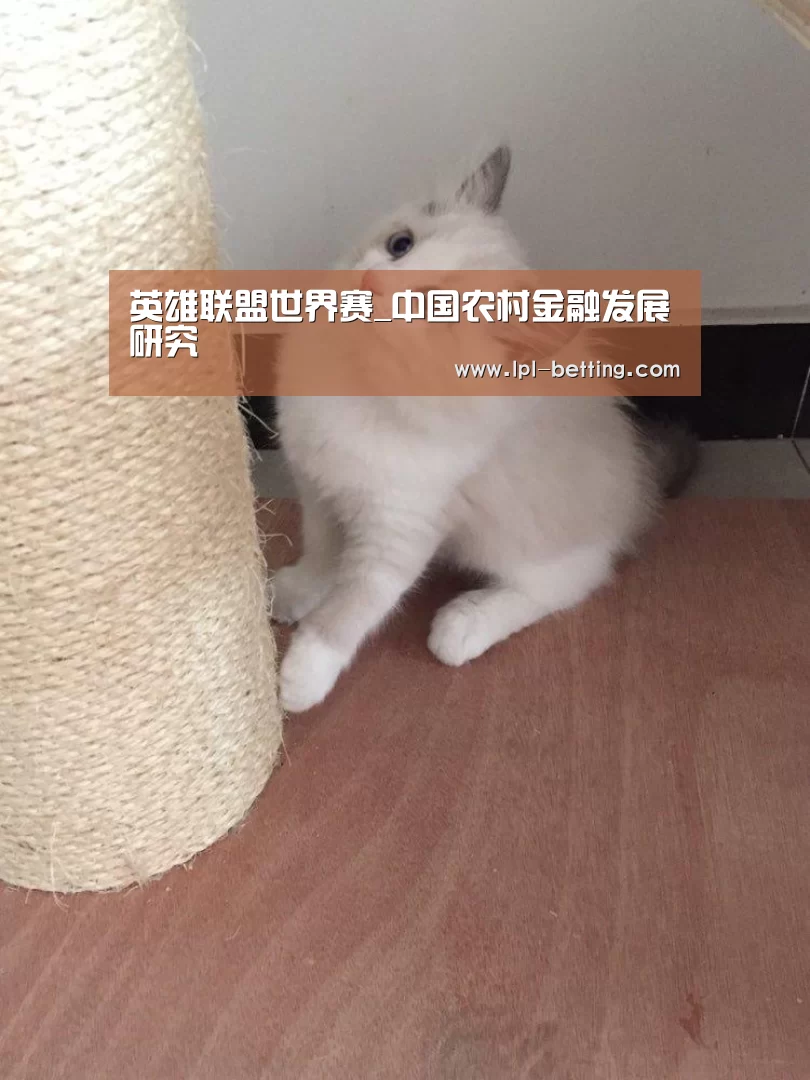 英雄联盟世界赛_中国农村金融发展研究(图1) 世界赛官网