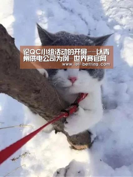 世界赛官网