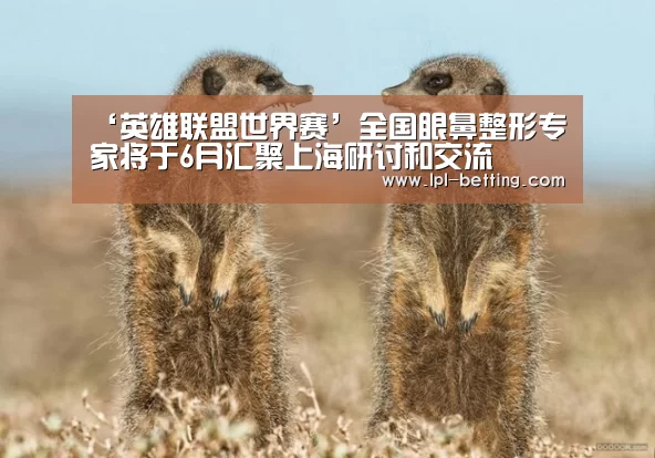 世界赛官网