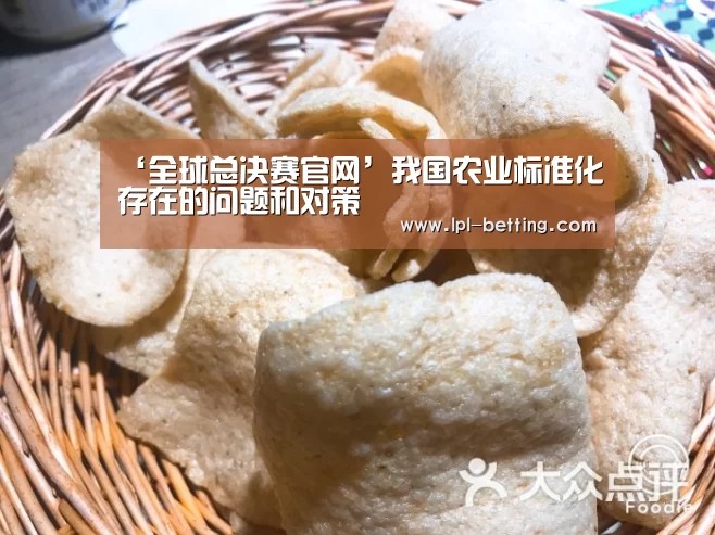全球总决赛官网