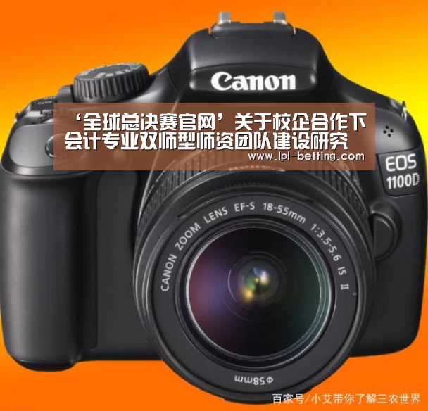 全球总决赛官网