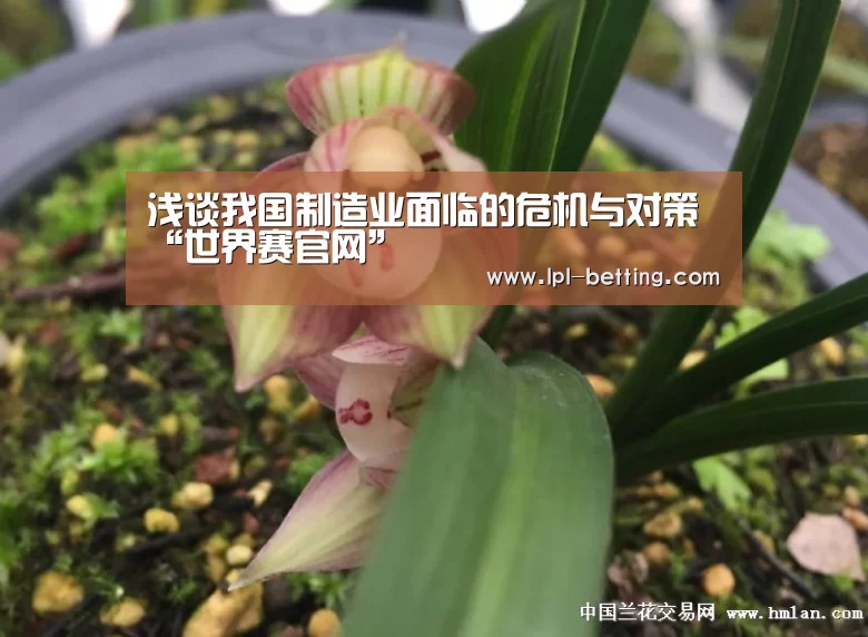 浅谈我国制造业面临的危机与对策“世界赛官网”(图1) 英雄联盟世界赛