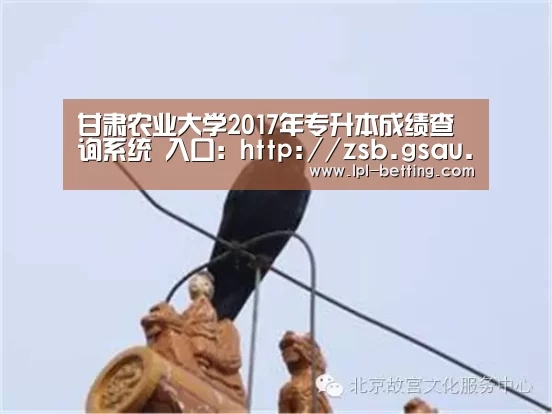 世界赛官网