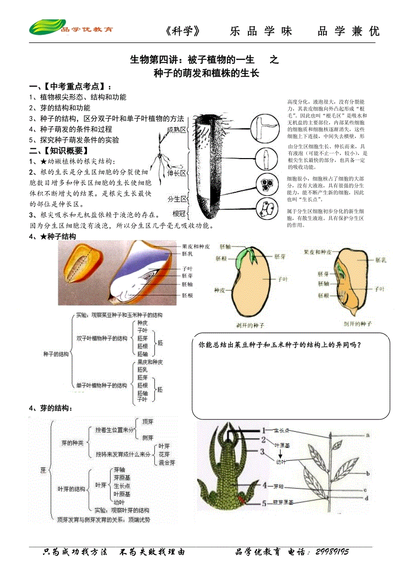 全球总决赛官网
